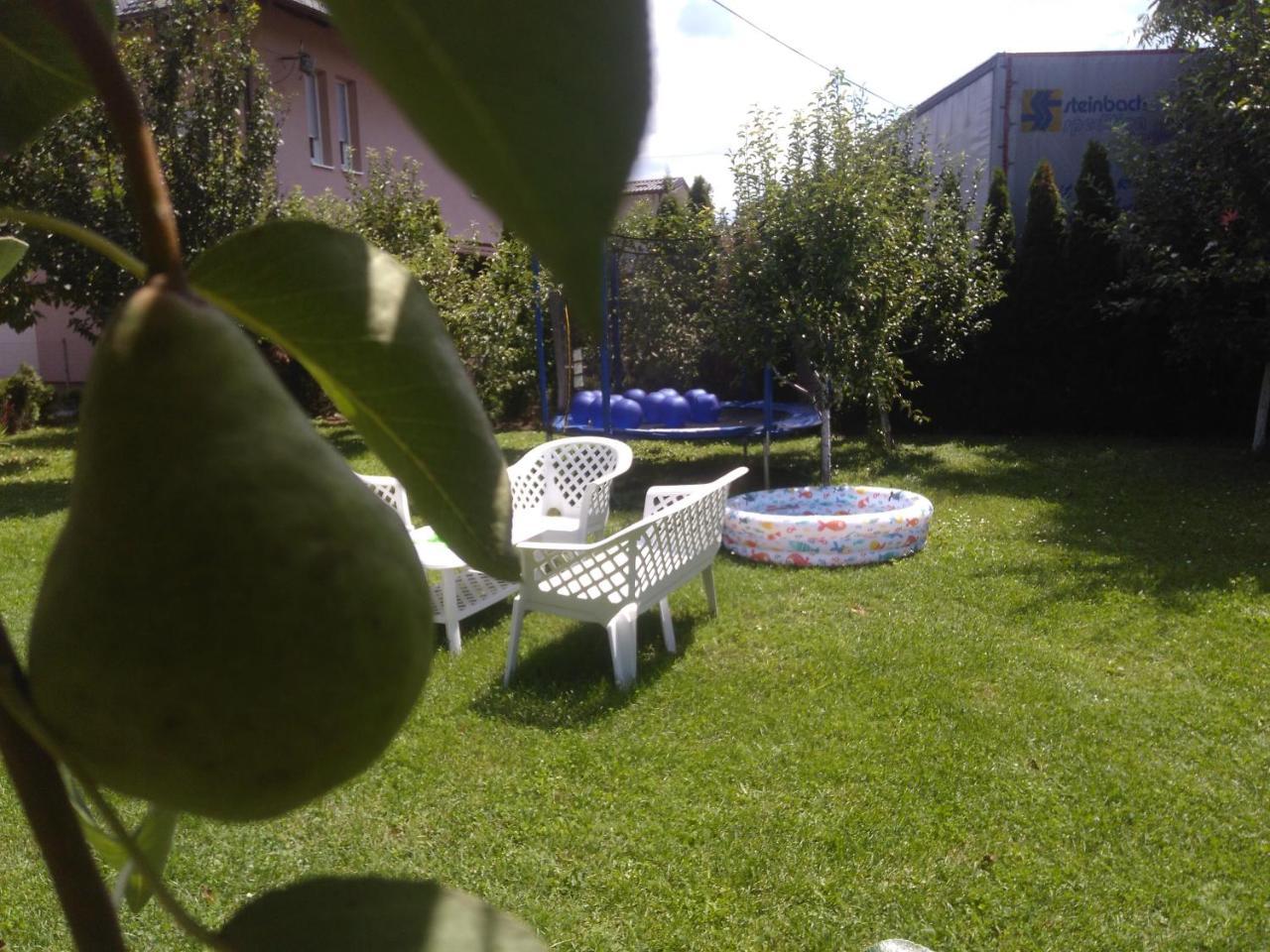 Elite Apartment Jasmina Bihać Εξωτερικό φωτογραφία